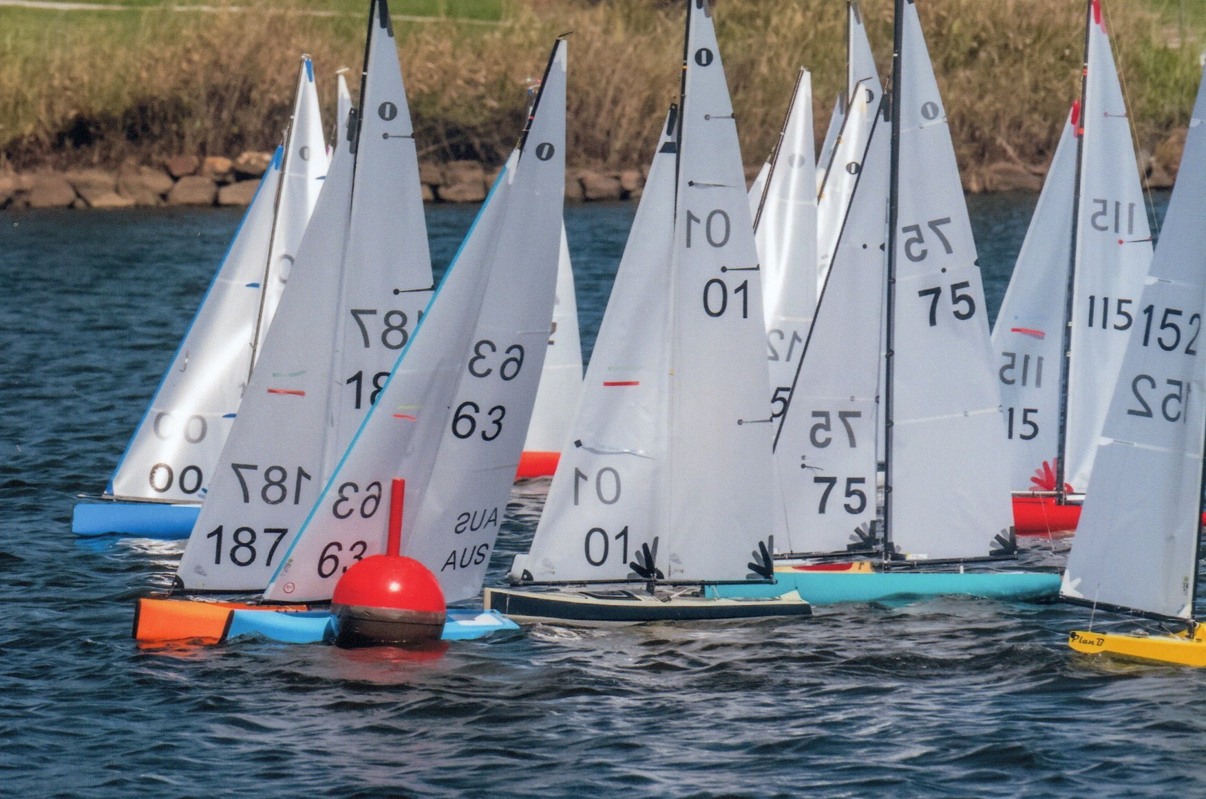 sunshine coast rc yacht club